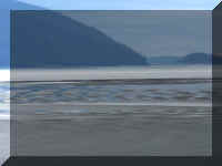 w a k in 1 mud flats left.jpg (19240 bytes)