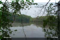 river fg1.jpg (59394 bytes)