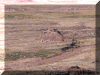 V a p forest 043.JPG (50833 bytes)