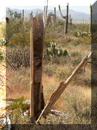 g a c2 trail split  074.JPG (40662 bytes)