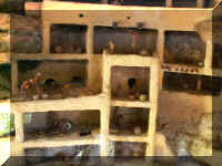w a model of is.JPG (40826 bytes)