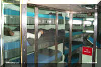 sub bunks.jpg (40654 bytes)