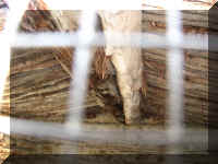 a f1011ut arch_424 wr_1.JPG (48508 bytes)