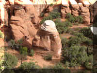 a f1011ut arch_444 ff_1.JPG (66856 bytes)