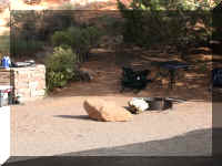 a f1011ut arch_529 devg cg_1.JPG (56170 bytes)