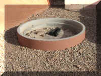 a f1011ut arch_580 amptheat_1.JPG (62666 bytes)