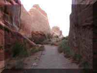 a f1011ut arch_633_1.JPG (37775 bytes)