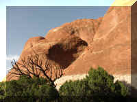 a f1011ut arch_667_1.JPG (48127 bytes)