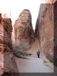 a f1011ut arch_685_1.JPG (44503 bytes)