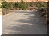 a f1011ut arch_737_1.JPG (53776 bytes)