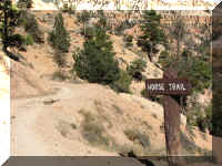 a f1009 bryce_311 srpp_1.JPG (70428 bytes)