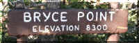 a f1009 bryce_391 bp_1.JPG (39633 bytes)