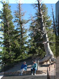 a f1009 bryce_453 bp_1.JPG (77112 bytes)