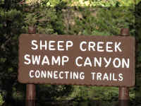 a f1009 bryce_466 sc_1.JPG (53712 bytes)