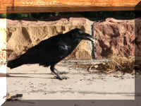 a f1009 bryce_477 sc_1.JPG (61181 bytes)