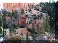 a f1009 bryce_496fvp_1.JPG (69271 bytes)