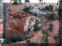 a f1009 bryce_499 fvp_1.JPG (59132 bytes)