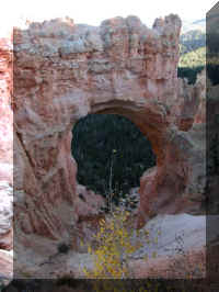 a f1009 bryce_515 nb_1.JPG (54433 bytes)