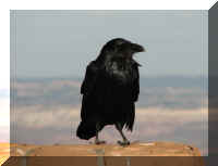 a f1009 bryce_562 pp_1.JPG (29286 bytes)