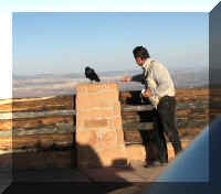 a f1009 bryce_563 pp_1.JPG (23679 bytes)