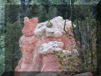 a f1009 bryce_592 bb_1.JPG (60004 bytes)