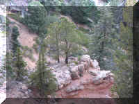 a f1009 bryce_593 bb_1.JPG (62488 bytes)