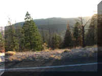 a f1009 bryce_647 fire area_1.JPG (41121 bytes)