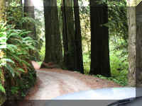 a f1002ca reds_187 rw no trailer_1.JPG (65065 bytes)