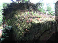 a f1002ca reds_193 rw cut_1.JPG (66106 bytes)