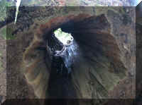 a f1002ca reds_195 rw cut_1.JPG (42731 bytes)