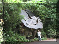 a f1002ca reds_210 rw stump w ml_1.JPG (74892 bytes)