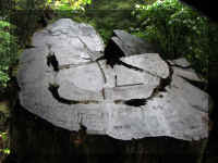 a f1002ca reds_214 stump names_1.JPG (53140 bytes)