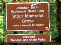 a f1002ca reds_233 rw sg sign_1.JPG (69231 bytes)