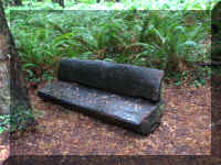 a f1002ca reds_348 rw sg bench old_1.JPG (72395 bytes)