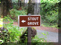 a f1002ca reds_356 rw sg sign_1.JPG (72692 bytes)