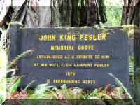 a f1002ca reds_378  wr_1.JPG (71326 bytes)