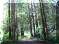 a f1002ca reds_381 wr_1.JPG (78639 bytes)