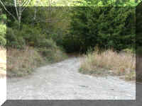 a f1002ca reds_384 wr_1.JPG (61575 bytes)