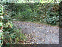 a f1002ca reds_387 wr_1.JPG (92107 bytes)