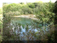 a f1002ca reds_388 wr_1.JPG (78508 bytes)