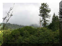 a f1002ca reds_389 wr_1.JPG (44113 bytes)