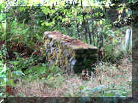 a f1002ca reds_393 wr_1.JPG (94978 bytes)