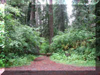 a f1002ca reds_402 wr lunch_1.JPG (86895 bytes)