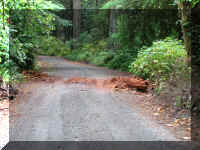 a f1002ca reds_418 wr in road_1.JPG (69401 bytes)