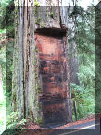 a f1002ca reds_436 hwy notched_1.JPG (76550 bytes)