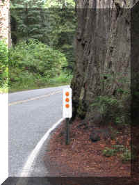 a f1002ca reds_438 hwy reflector_1.JPG (64183 bytes)