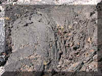 a f0821craters_163 lc4_1.JPG (88477 bytes)