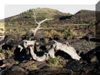 a f0821craters_323 ncft7 adj_1.jpg (69473 bytes)