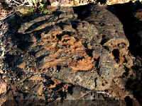 a f0821craters_352 ncft14 adj_1.jpg (92159 bytes)