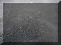 a f0821craters_402 ic11 adj_1.jpg (36602 bytes)